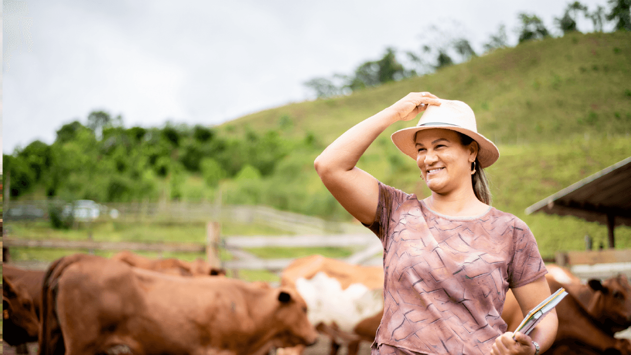 Organizar receitas e despesas é essencial para a prosperidade do pequeno produtor rural