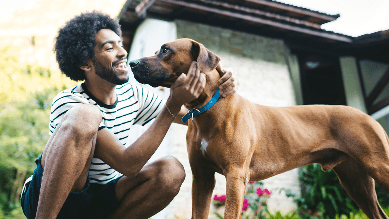 Quanto custa ter um animal de estimação?