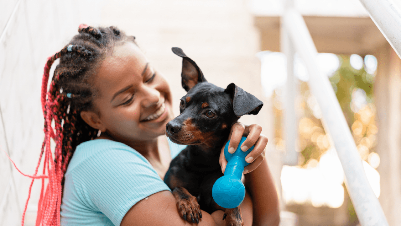 Mercado pet oferece oportunidades para empreendedores que querem trabalhar com produtos e serviços para animais de estimação.
